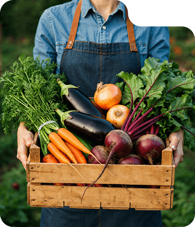A Simple Way to Start Organic Farming.